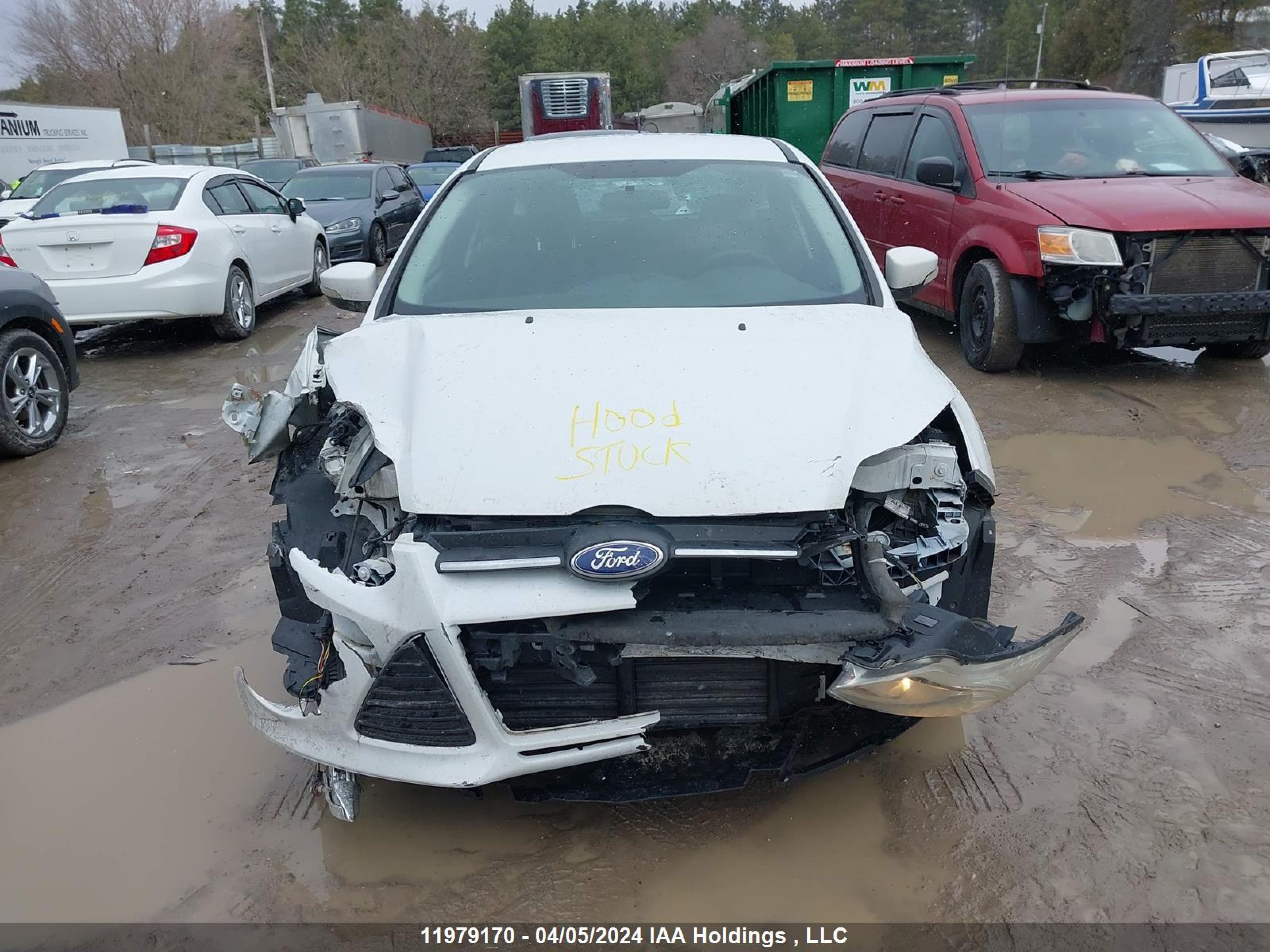 Photo 12 VIN: 1FADP3K25DL365023 - FORD FOCUS 