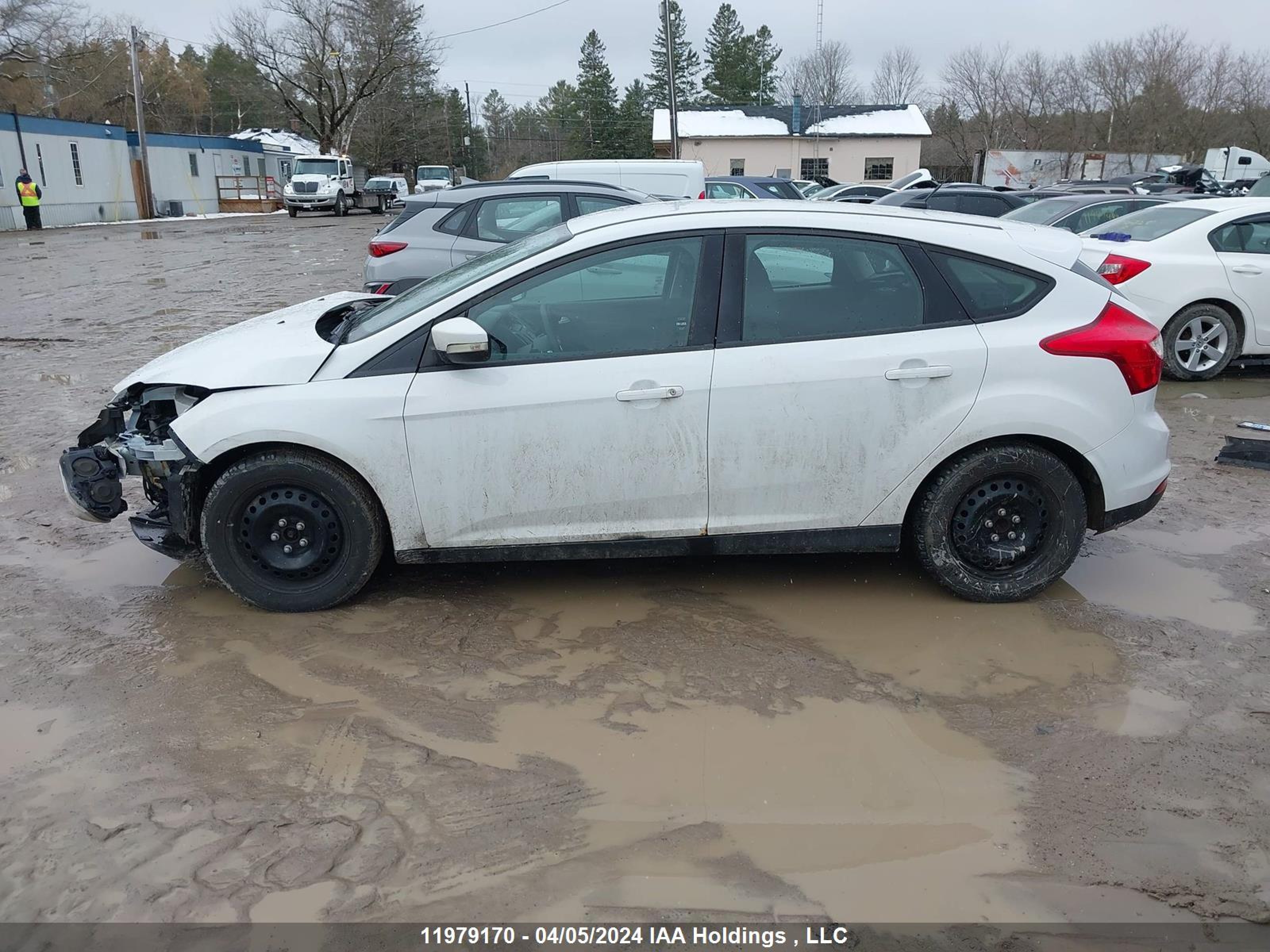 Photo 14 VIN: 1FADP3K25DL365023 - FORD FOCUS 