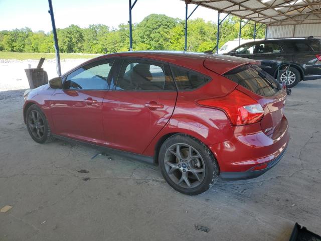 Photo 1 VIN: 1FADP3K25EL203748 - FORD FOCUS 