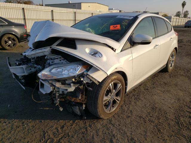 Photo 1 VIN: 1FADP3K25EL254683 - FORD FOCUS SE 