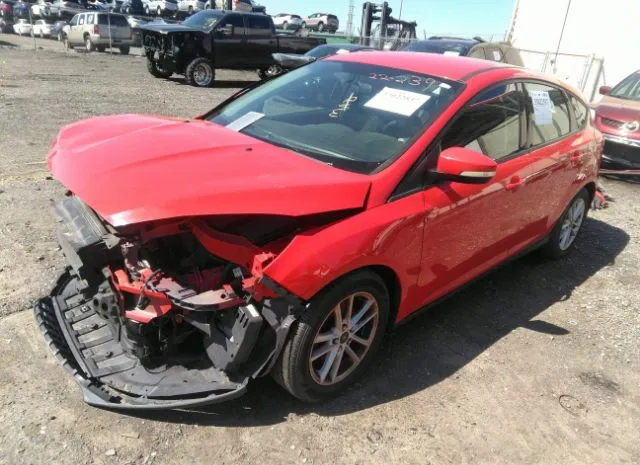 Photo 1 VIN: 1FADP3K25FL244026 - FORD FOCUS 