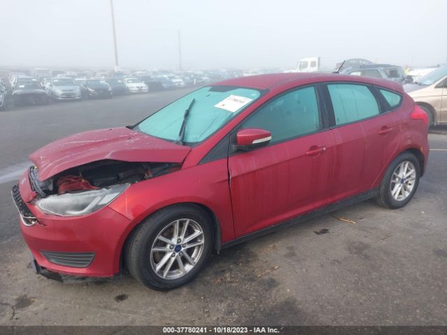 Photo 1 VIN: 1FADP3K25FL294814 - FORD FOCUS 