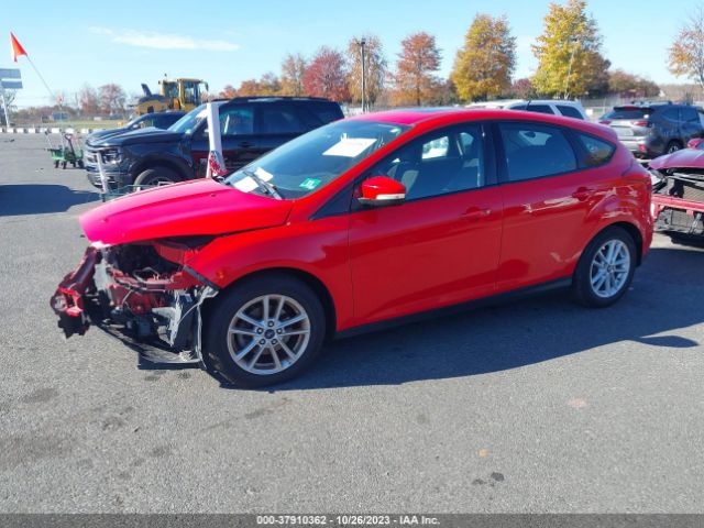 Photo 1 VIN: 1FADP3K25GL283488 - FORD FOCUS 