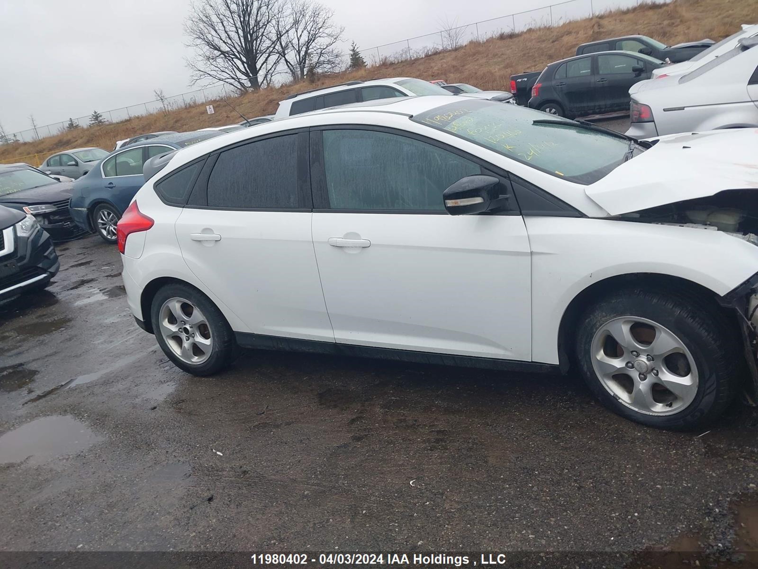 Photo 12 VIN: 1FADP3K26EL120460 - FORD FOCUS 