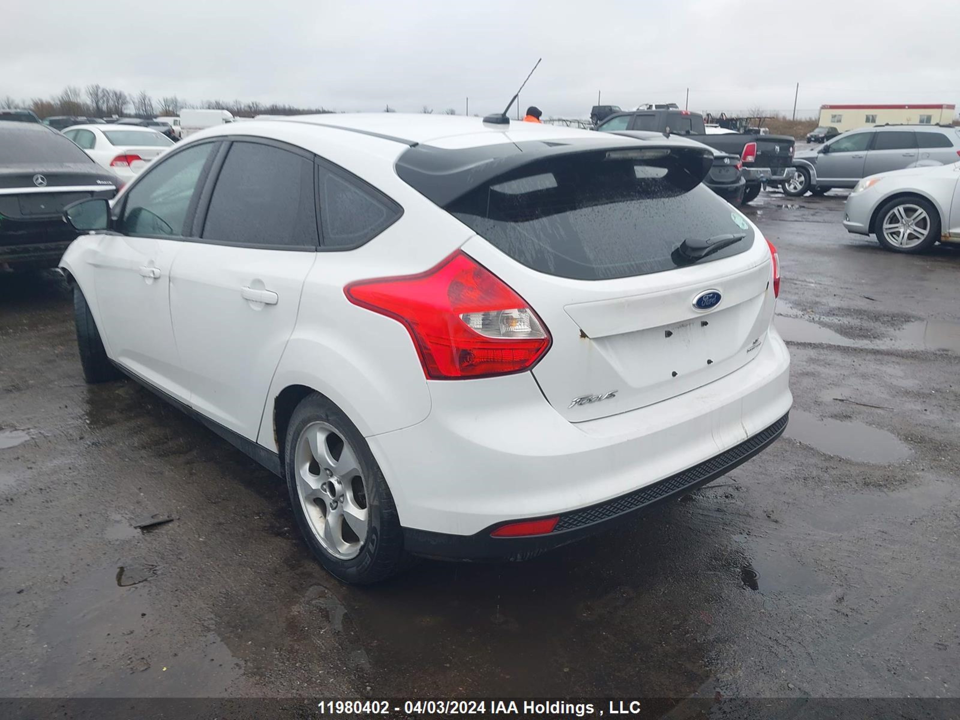 Photo 2 VIN: 1FADP3K26EL120460 - FORD FOCUS 