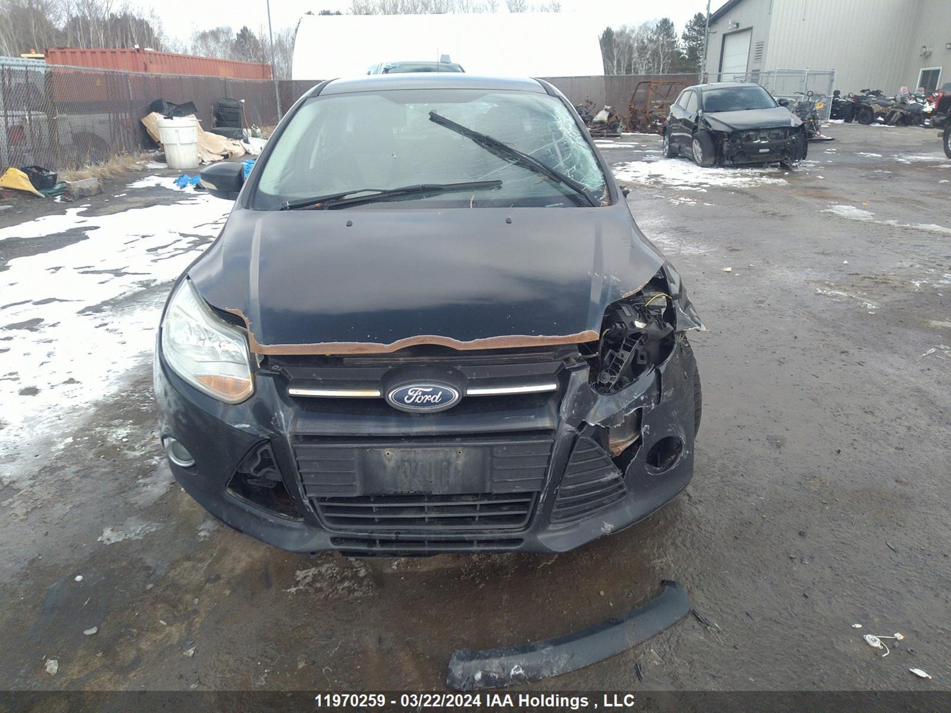 Photo 11 VIN: 1FADP3K26EL315569 - FORD FOCUS 