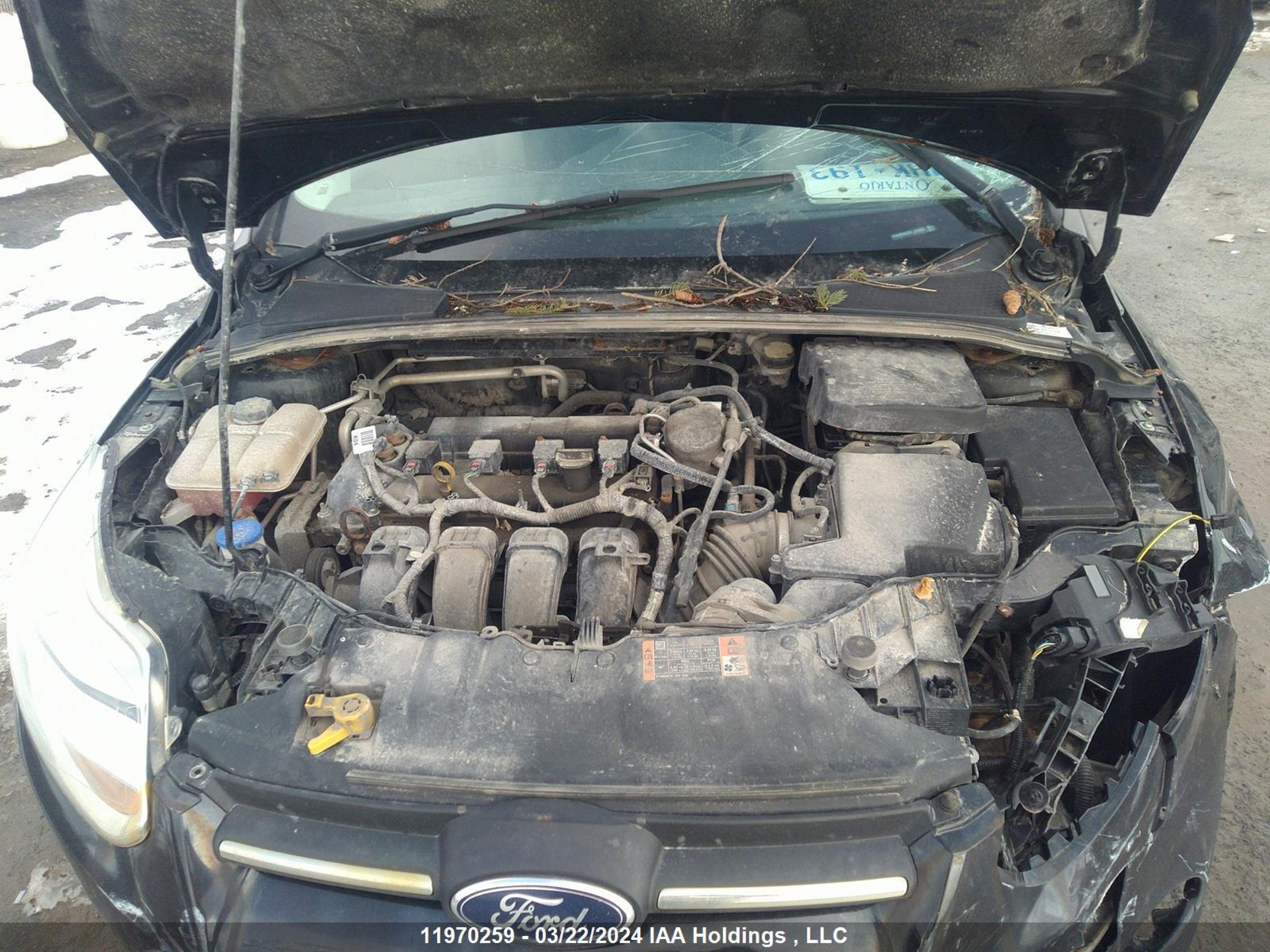 Photo 9 VIN: 1FADP3K26EL315569 - FORD FOCUS 