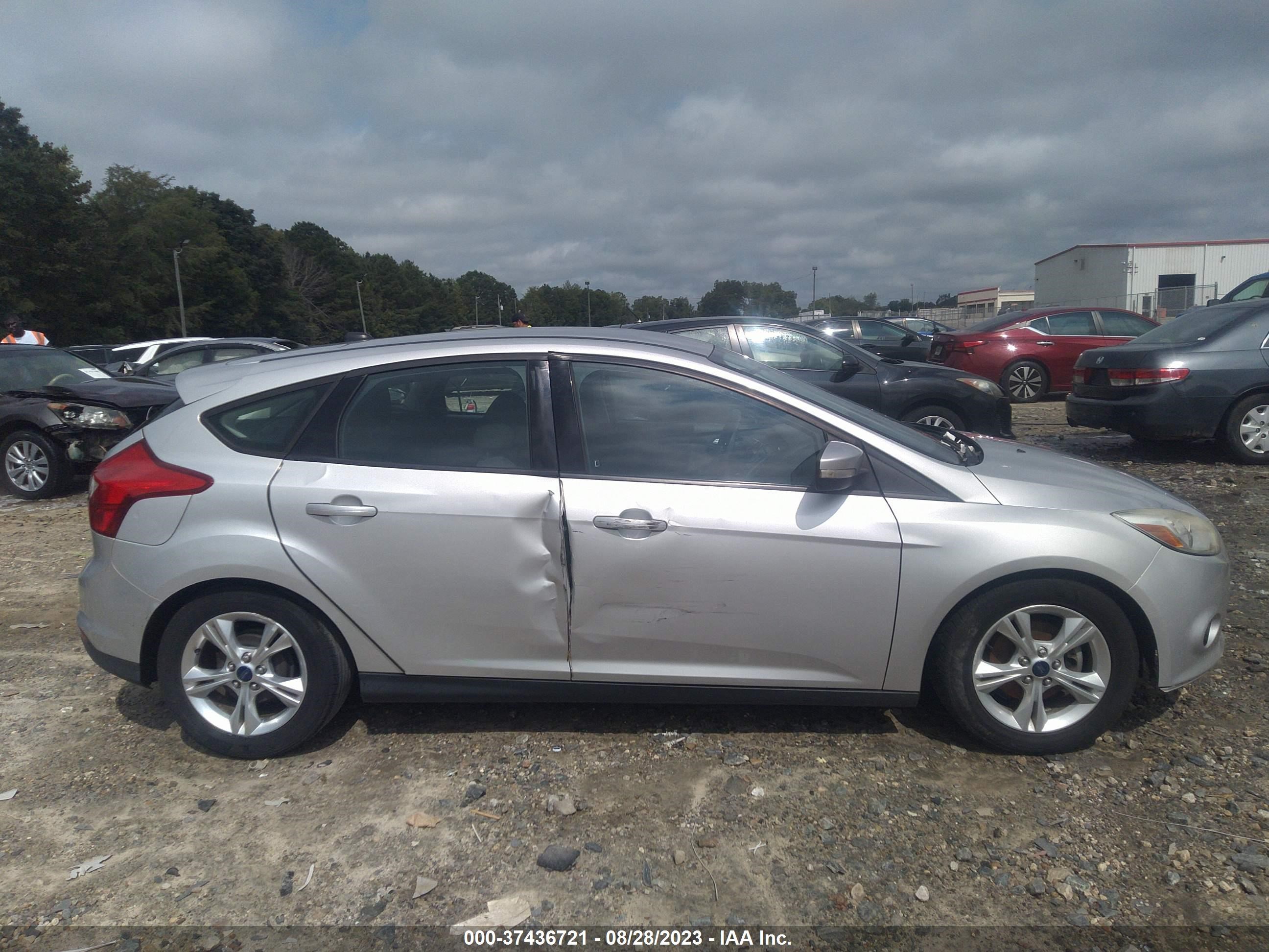 Photo 12 VIN: 1FADP3K26EL326605 - FORD FOCUS 