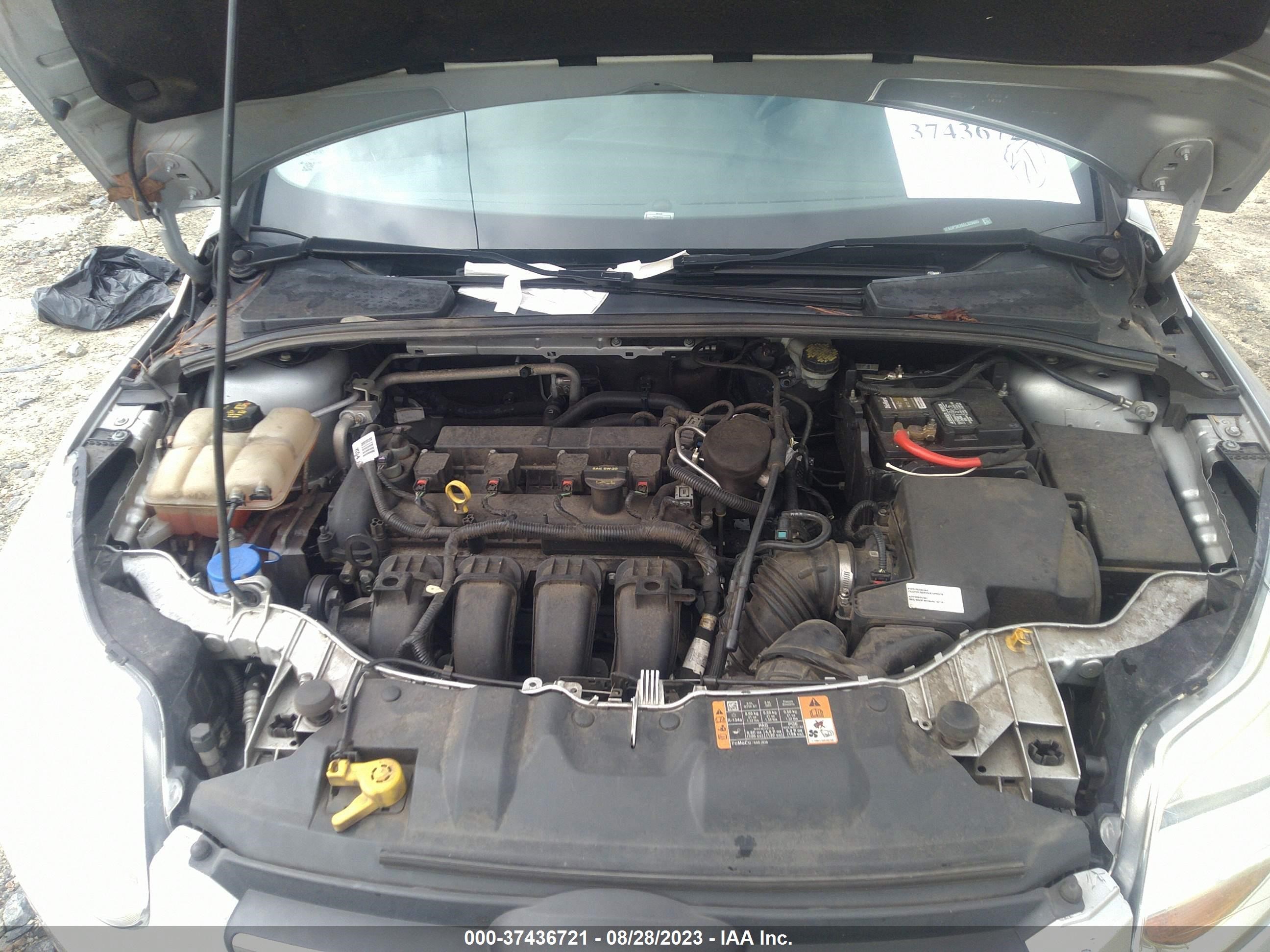 Photo 9 VIN: 1FADP3K26EL326605 - FORD FOCUS 