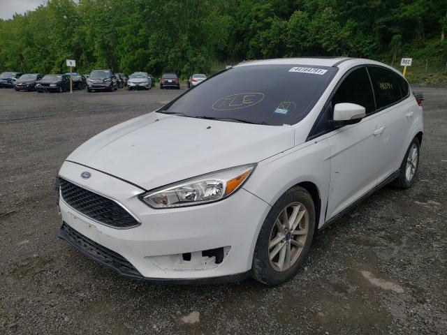 Photo 1 VIN: 1FADP3K26FL202514 - FORD FOCUS 