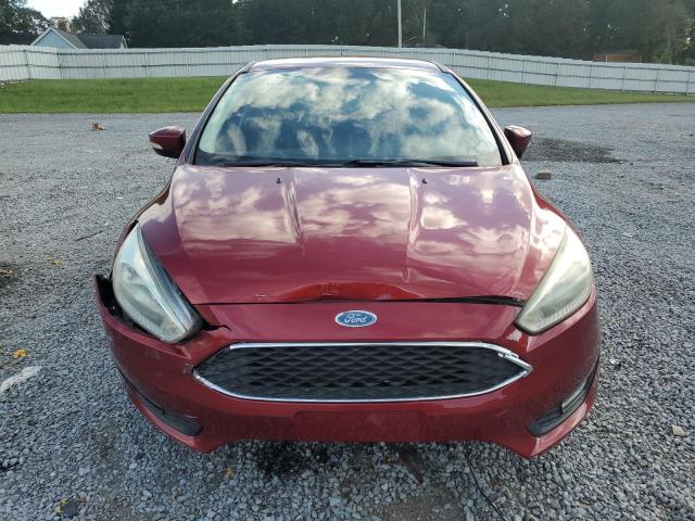 Photo 4 VIN: 1FADP3K26FL254466 - FORD FOCUS SE 