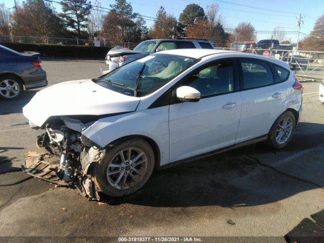 Photo 1 VIN: 1FADP3K26FL307344 - FORD FOCUS 