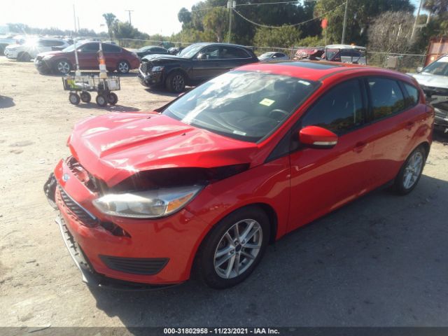 Photo 1 VIN: 1FADP3K26GL204975 - FORD FOCUS 