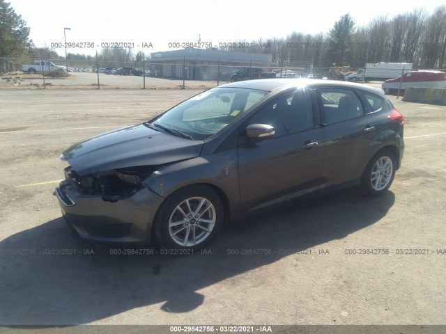 Photo 1 VIN: 1FADP3K26GL273519 - FORD FOCUS 