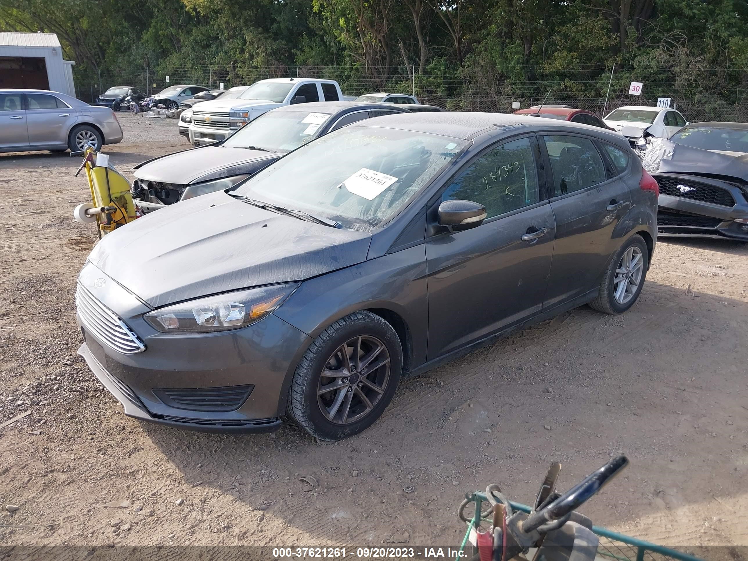 Photo 1 VIN: 1FADP3K26GL284343 - FORD FOCUS 