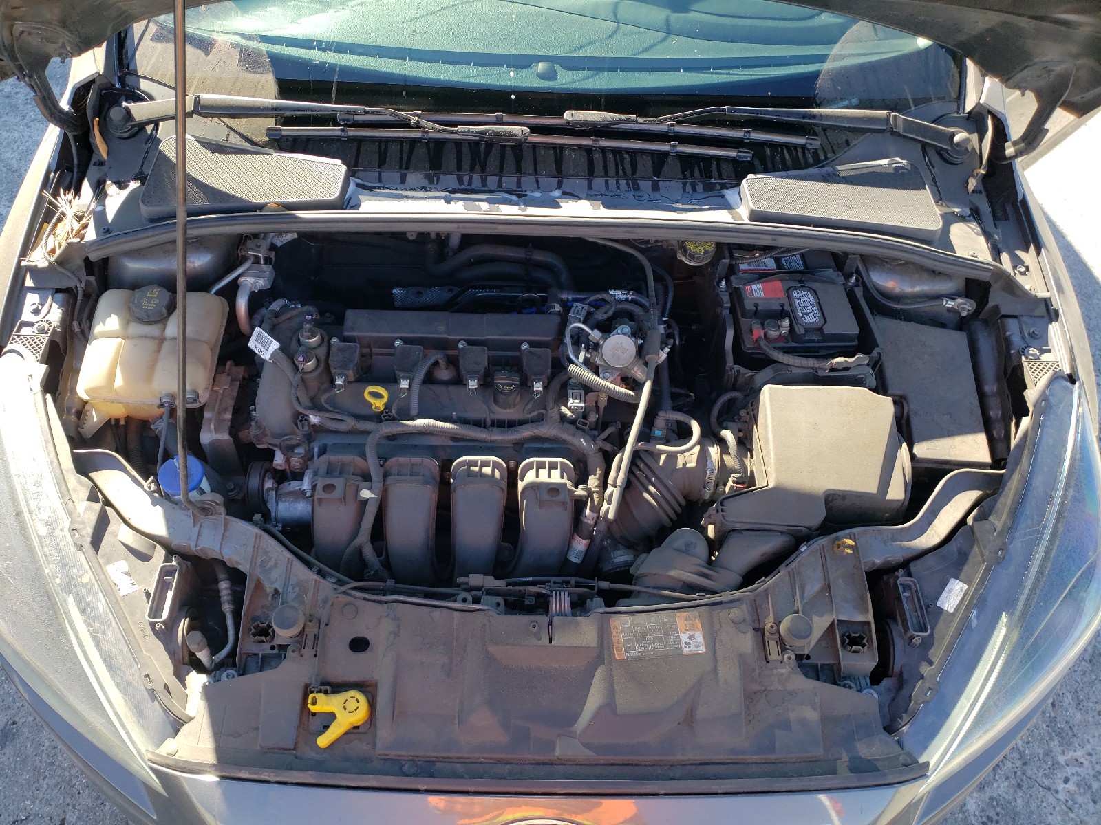 Photo 6 VIN: 1FADP3K26GL332908 - FORD FOCUS 