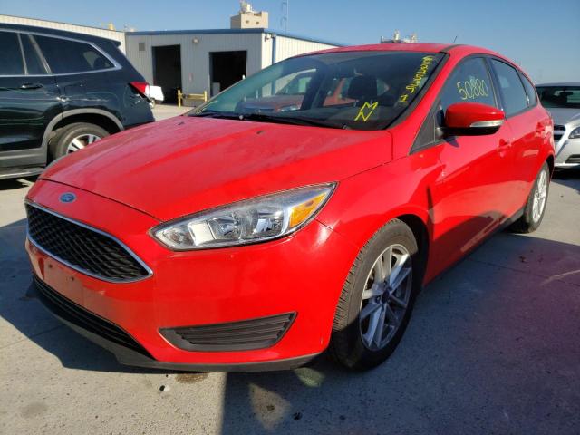 Photo 1 VIN: 1FADP3K26GL337929 - FORD FOCUS 