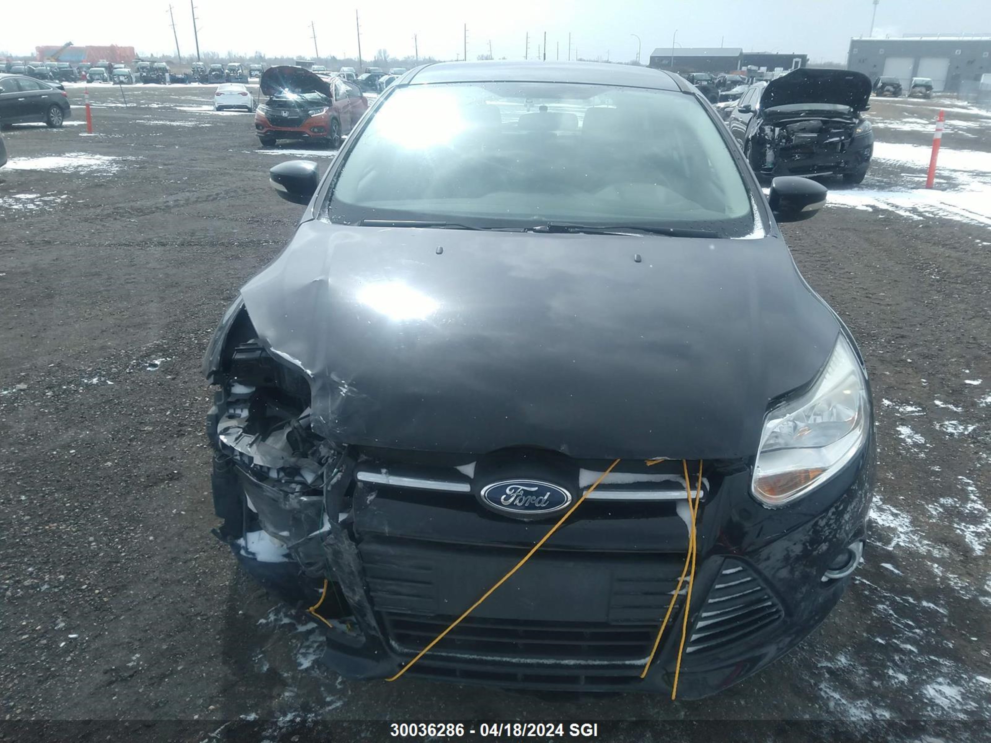 Photo 11 VIN: 1FADP3K27EL384268 - FORD FOCUS 