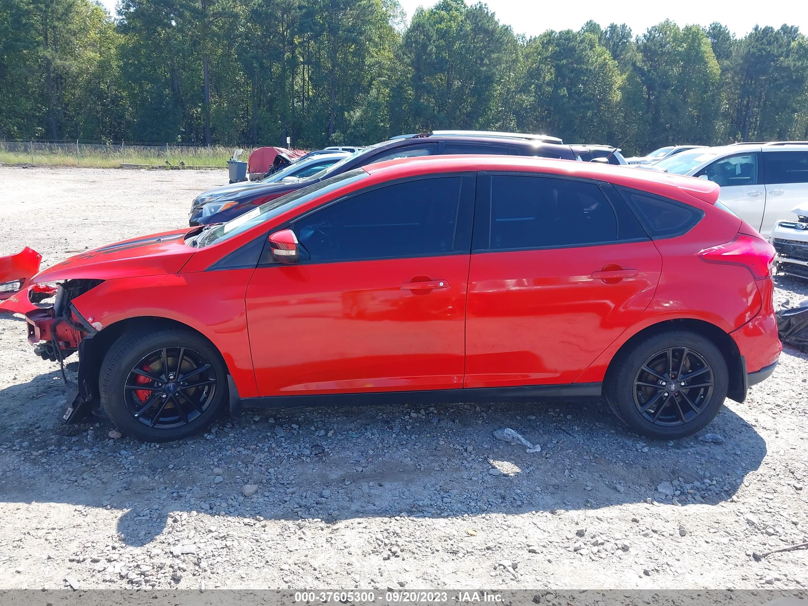 Photo 14 VIN: 1FADP3K27FL315789 - FORD FOCUS 