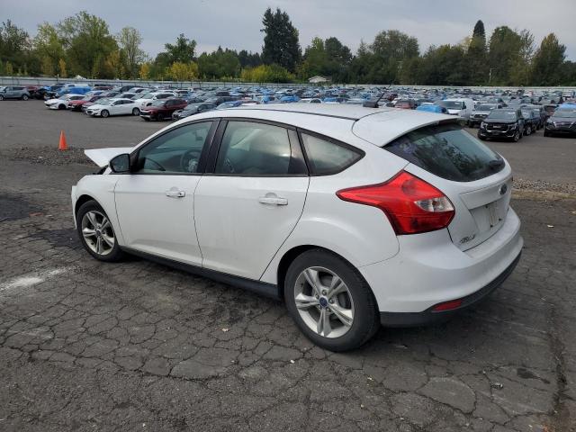 Photo 1 VIN: 1FADP3K28DL244566 - FORD FOCUS SE 