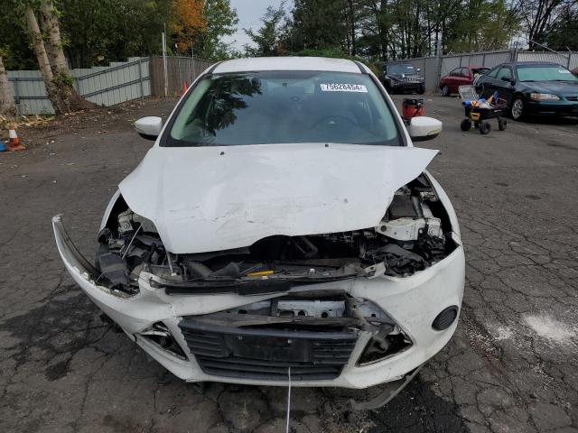 Photo 4 VIN: 1FADP3K28DL244566 - FORD FOCUS SE 