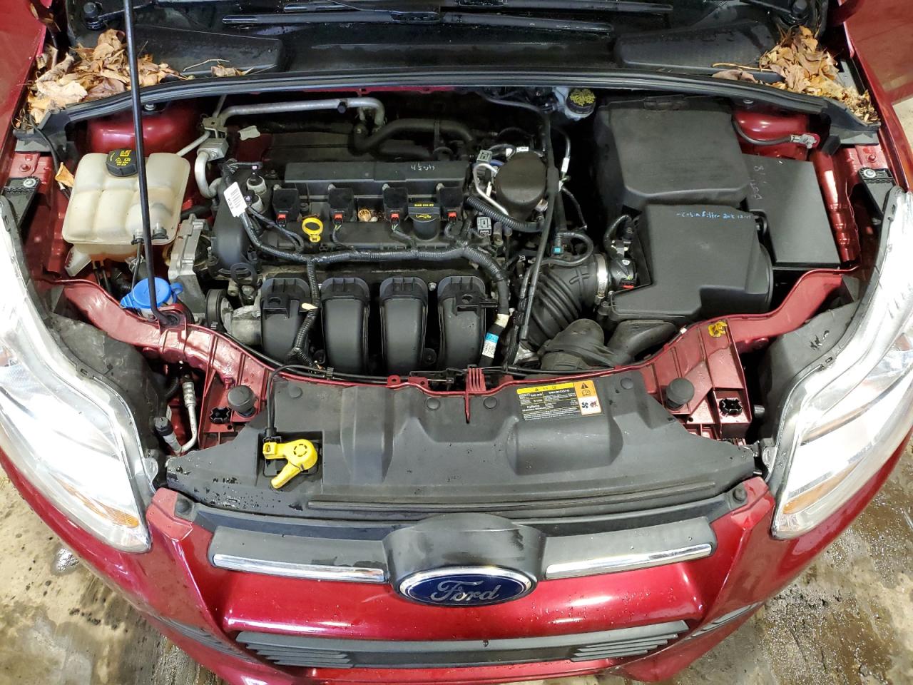 Photo 10 VIN: 1FADP3K28EL226943 - FORD FOCUS 