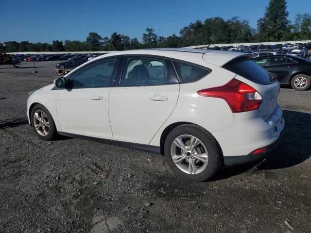 Photo 1 VIN: 1FADP3K28EL307196 - FORD FOCUS SE 