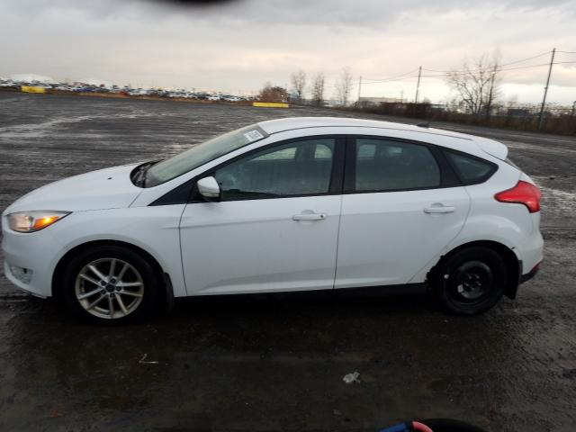 Photo 8 VIN: 1FADP3K28FL257725 - FORD FOCUS 