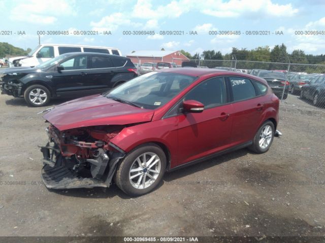 Photo 1 VIN: 1FADP3K28GL250145 - FORD FOCUS 