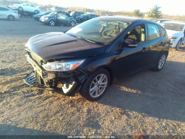 Photo 1 VIN: 1FADP3K28GL270525 - FORD FOCUS 