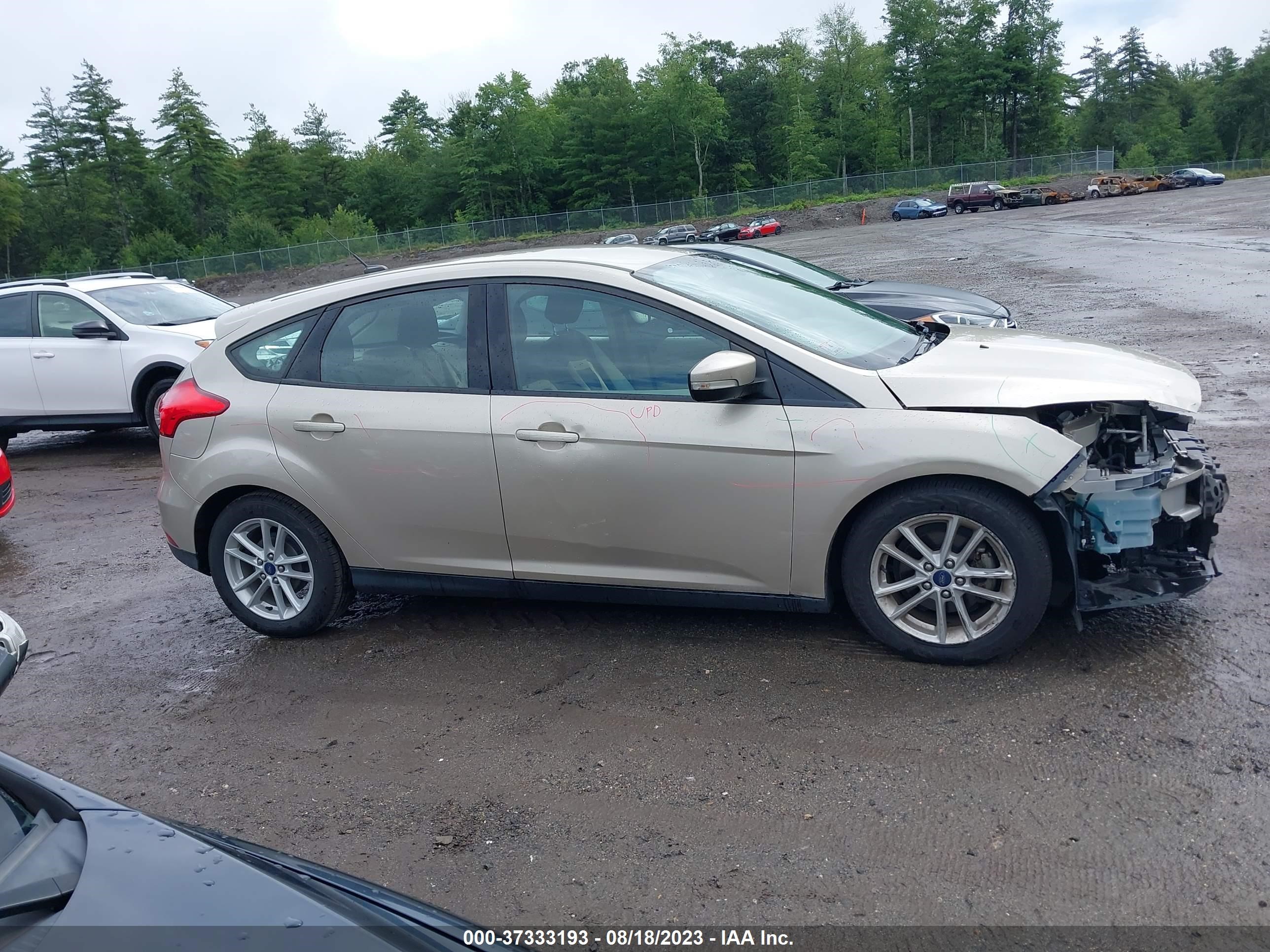 Photo 13 VIN: 1FADP3K28HL232391 - FORD FOCUS 