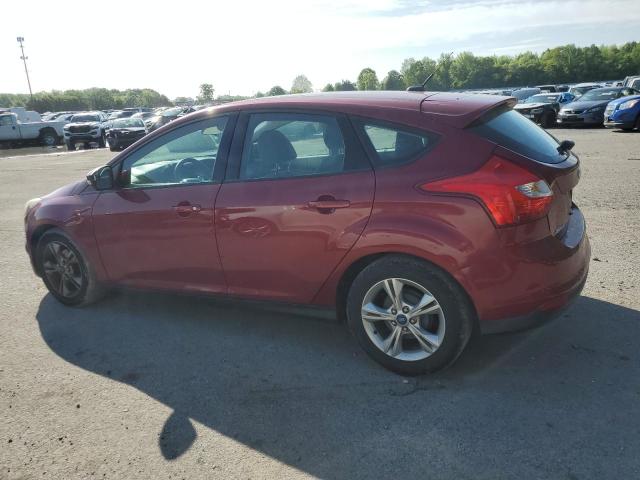 Photo 1 VIN: 1FADP3K29EL159124 - FORD FOCUS 