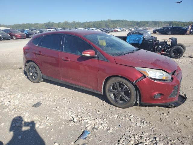 Photo 3 VIN: 1FADP3K29EL184167 - FORD FOCUS SE 