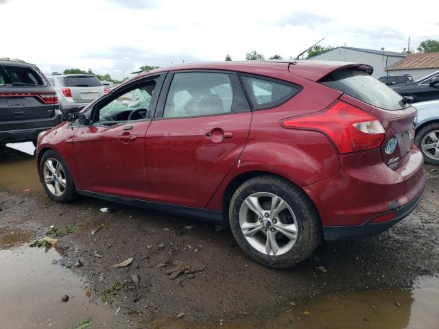 Photo 1 VIN: 1FADP3K29EL280655 - FORD FOCUS 