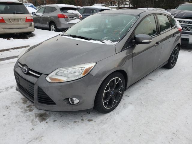 Photo 1 VIN: 1FADP3K29EL407386 - FORD FOCUS SE 