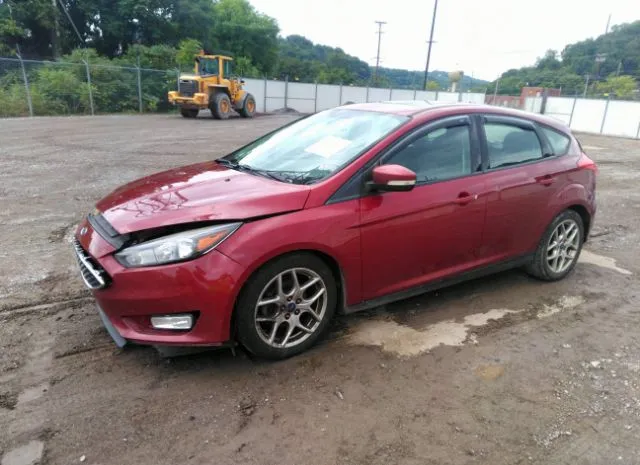 Photo 1 VIN: 1FADP3K29FL244921 - FORD FOCUS 