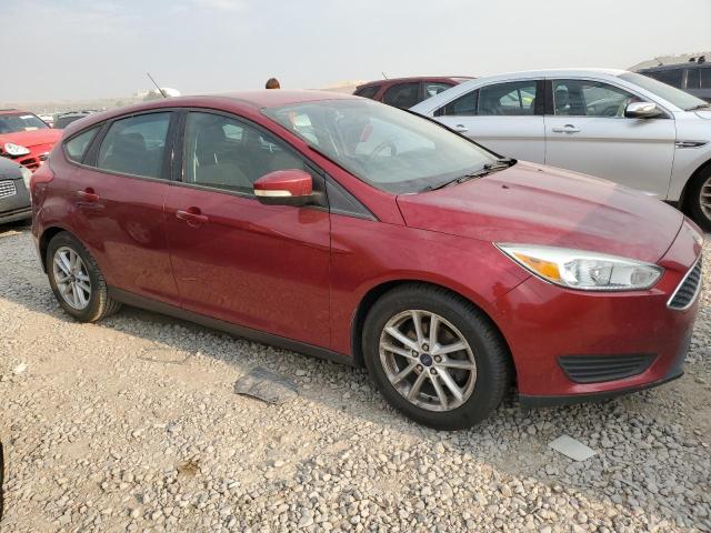 Photo 3 VIN: 1FADP3K29FL326969 - FORD FOCUS 