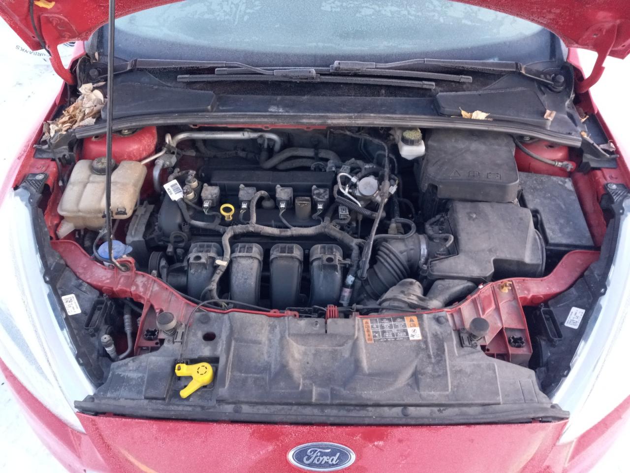 Photo 10 VIN: 1FADP3K29HL217995 - FORD FOCUS 