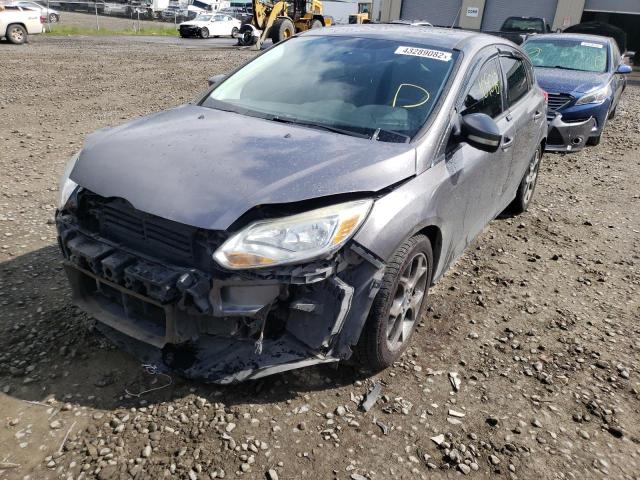 Photo 1 VIN: 1FADP3K2XDL178232 - FORD FOCUS SE 