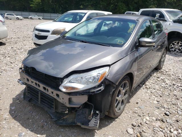 Photo 1 VIN: 1FADP3K2XDL254077 - FORD FOCUS SE 