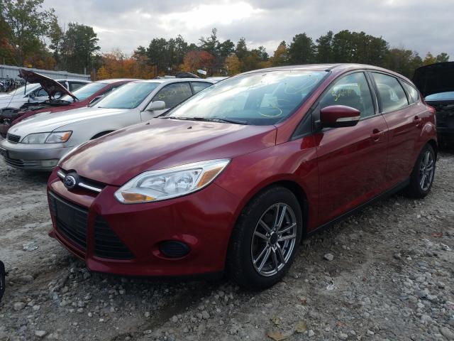 Photo 1 VIN: 1FADP3K2XEL261841 - FORD FOCUS SE 