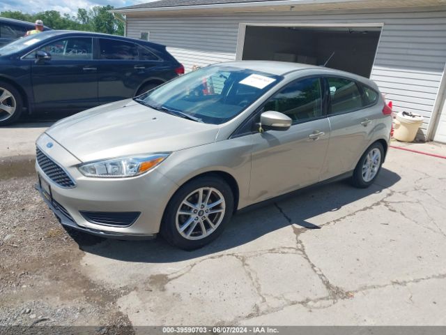 Photo 1 VIN: 1FADP3K2XFL242577 - FORD FOCUS 