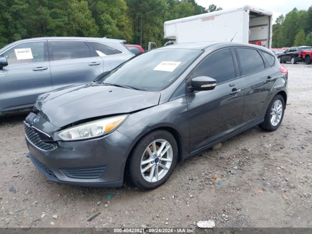 Photo 1 VIN: 1FADP3K2XFL252641 - FORD FOCUS 