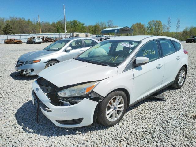 Photo 1 VIN: 1FADP3K2XFL273358 - FORD FOCUS SE 