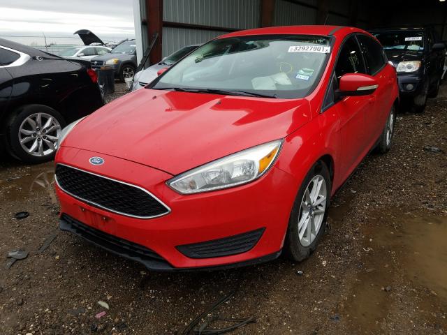 Photo 1 VIN: 1FADP3K2XFL288541 - FORD FOCUS SE 