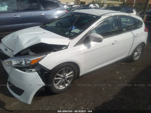 Photo 1 VIN: 1FADP3K2XGL222458 - FORD FOCUS 