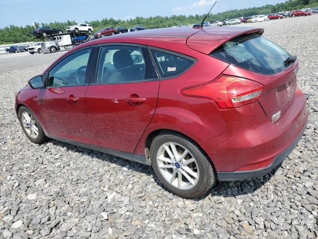 Photo 1 VIN: 1FADP3K2XGL327663 - FORD FOCUS 