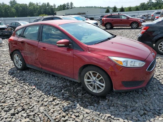 Photo 3 VIN: 1FADP3K2XGL327663 - FORD FOCUS 