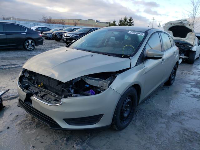 Photo 1 VIN: 1FADP3K2XGL342194 - FORD FOCUS 