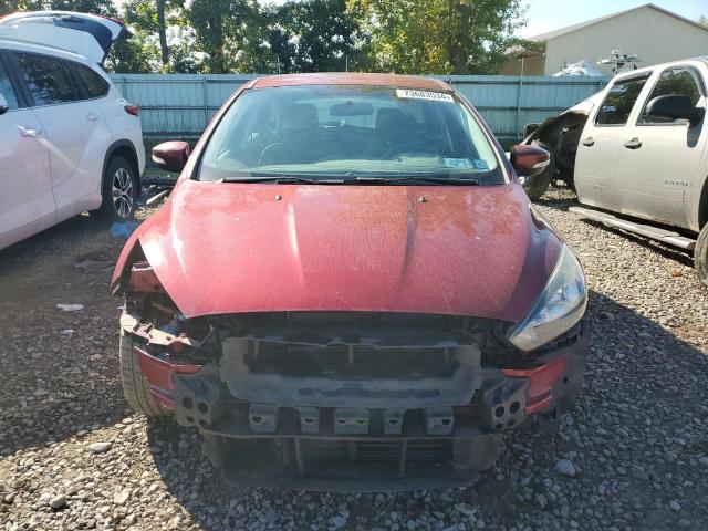 Photo 4 VIN: 1FADP3KE4GL240612 - FORD FOCUS SE 